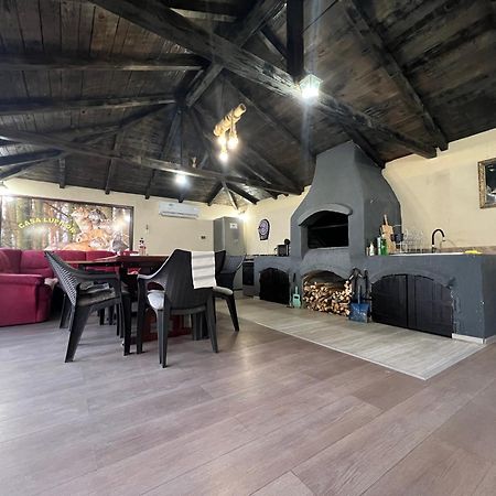 Căpăţîneni-Ungureni Casa Lupilor Transfagarasanヴィラ エクステリア 写真
