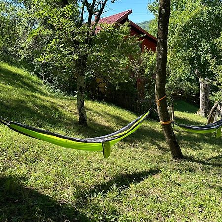 Căpăţîneni-Ungureni Casa Lupilor Transfagarasanヴィラ エクステリア 写真