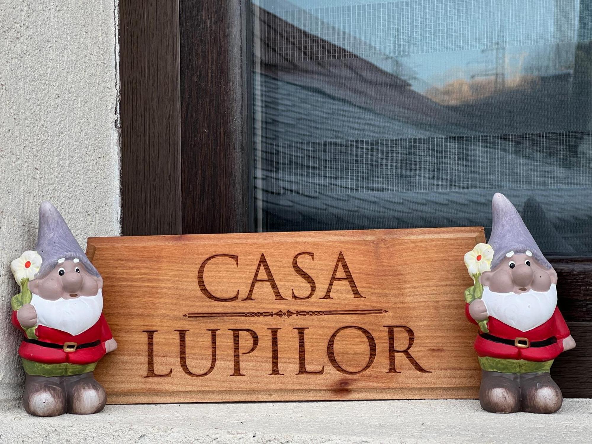 Căpăţîneni-Ungureni Casa Lupilor Transfagarasanヴィラ エクステリア 写真