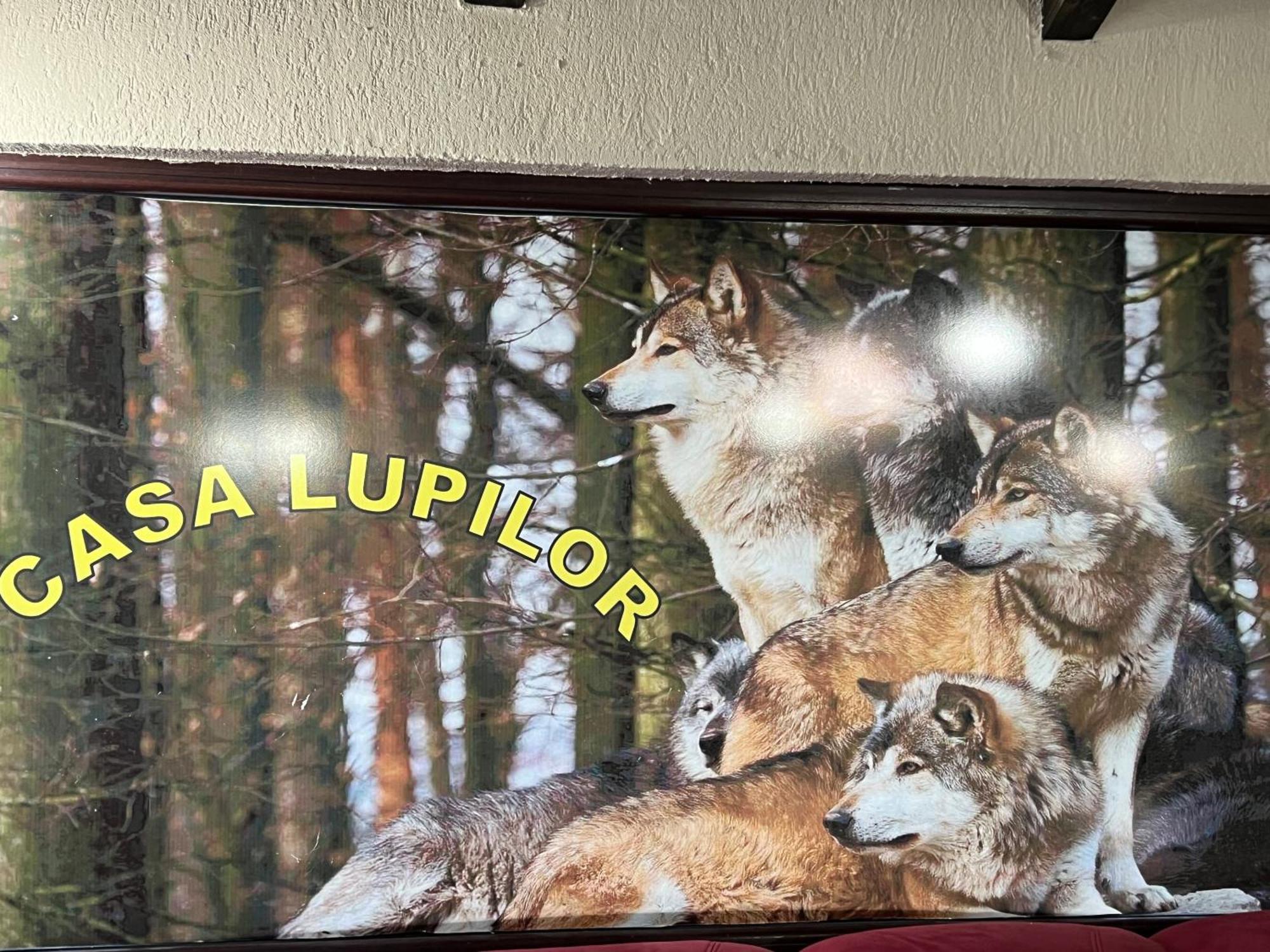 Căpăţîneni-Ungureni Casa Lupilor Transfagarasanヴィラ エクステリア 写真